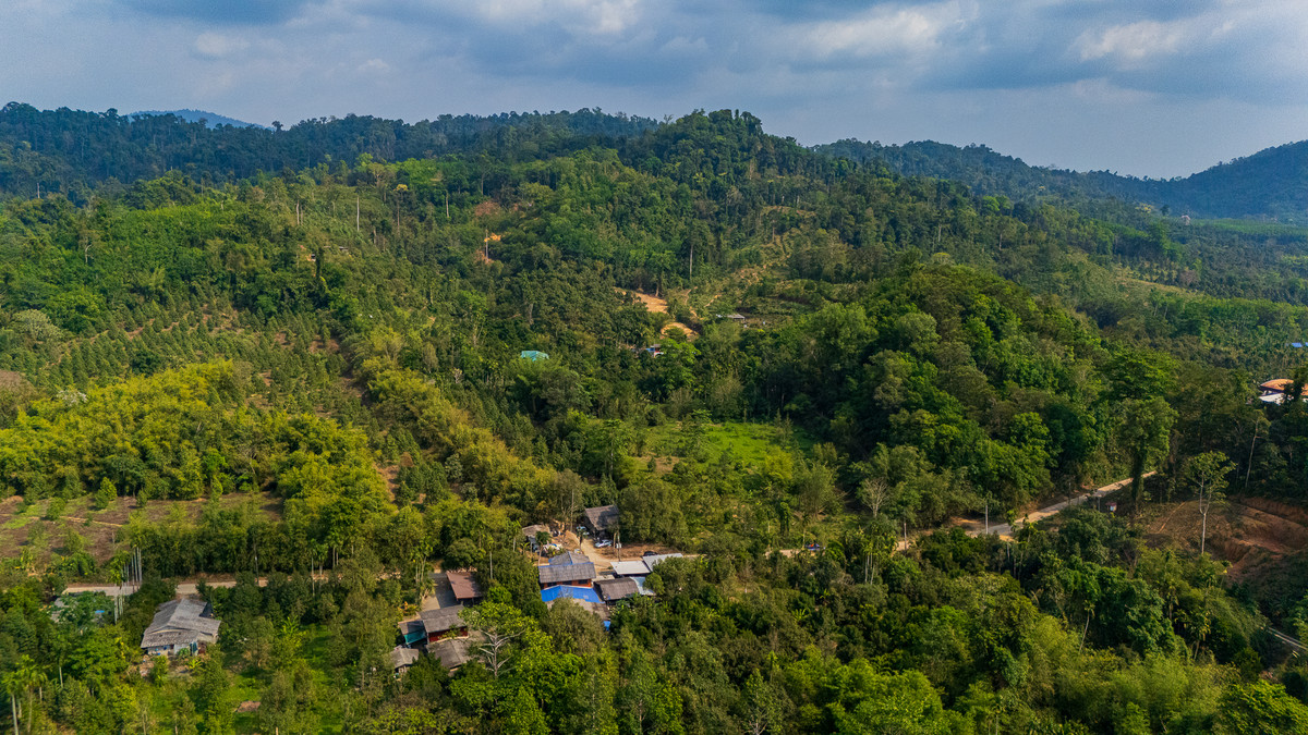 ขายที่ดินบนเขา อำเภอมะขาม จันทบุรี ท่ามกลางสวนทุเรียน บรรยากาศดี – รูปที่ 3