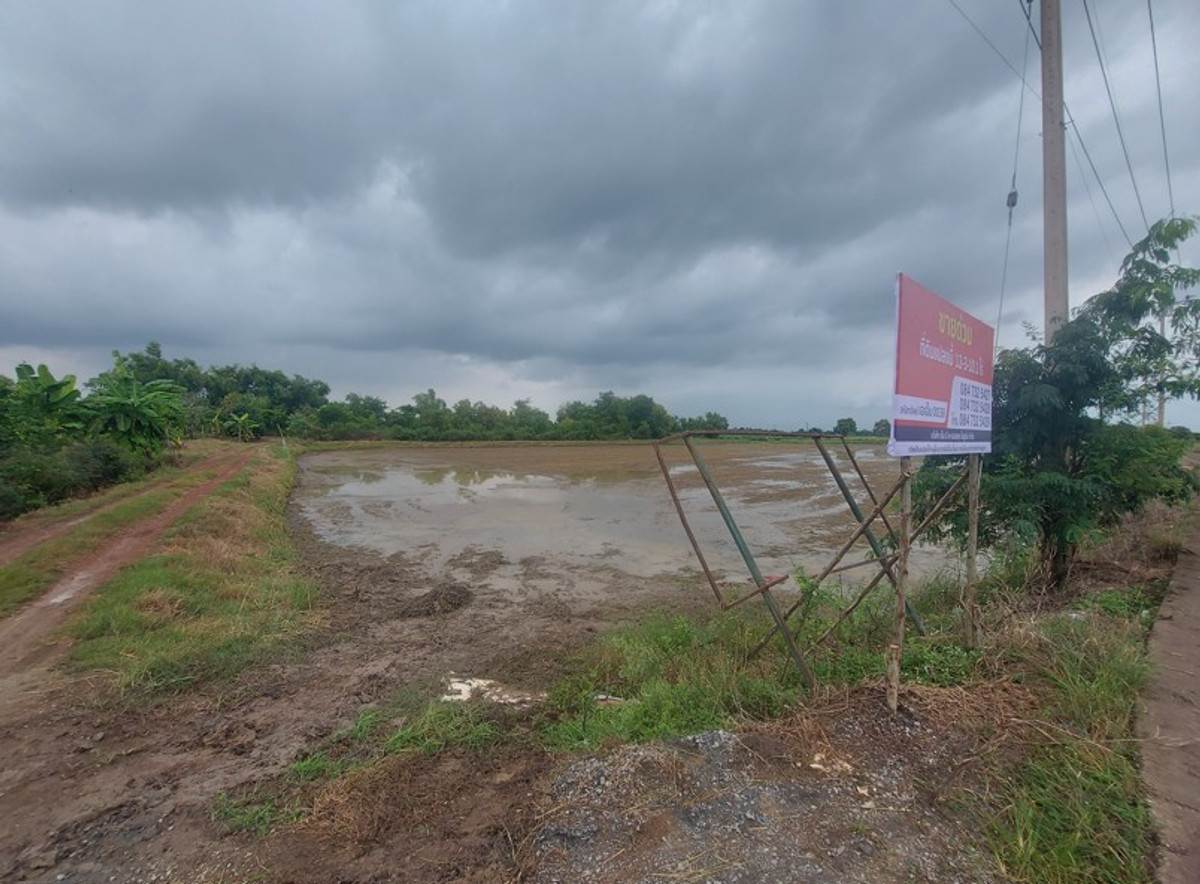 Vacant land, Chachoengsao Province – รูปที่ 3