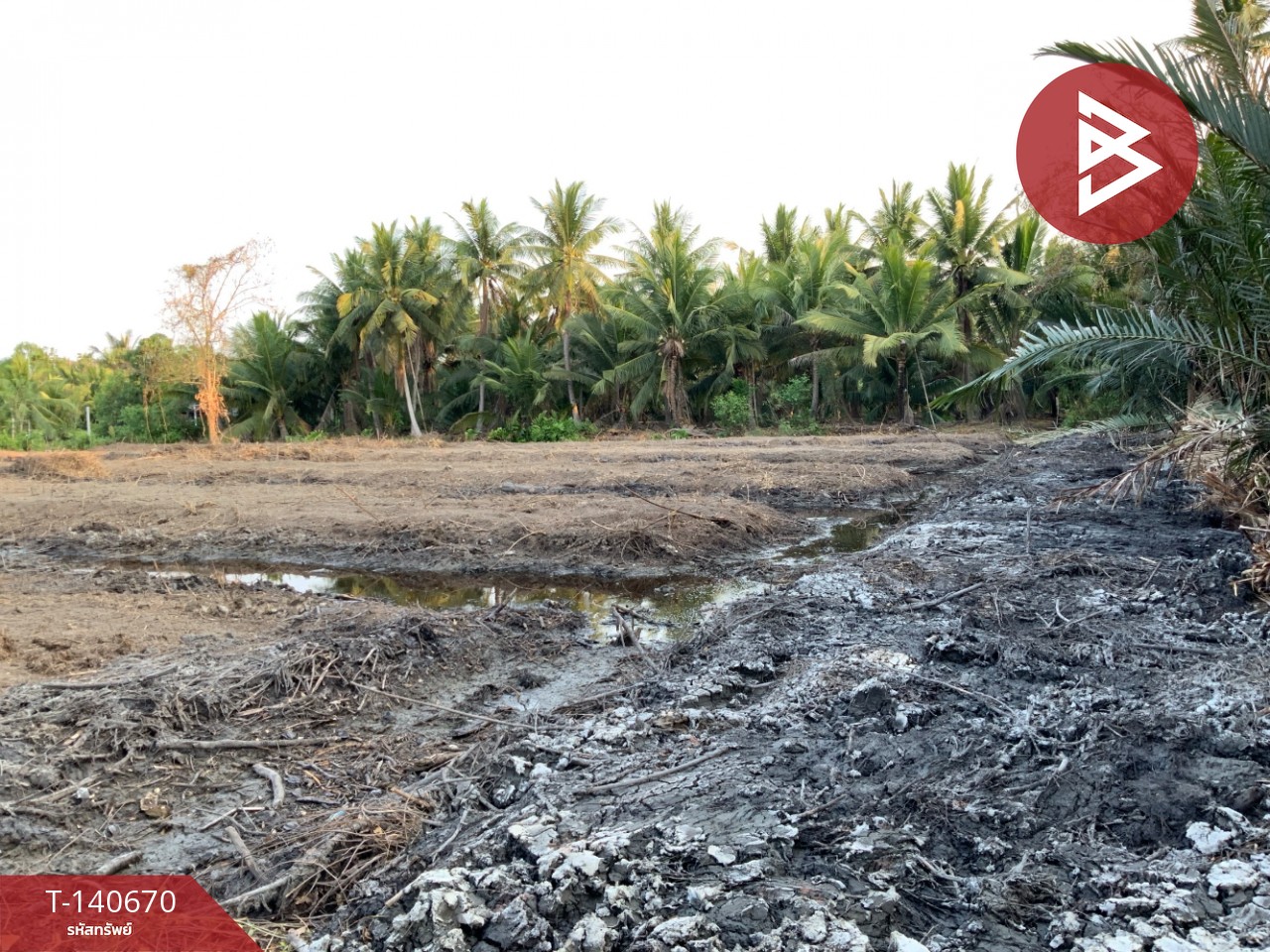 Land for sale, area 2 rai 3 sq m, Lat Yai, Samut Songkhram – รูปที่ 3
