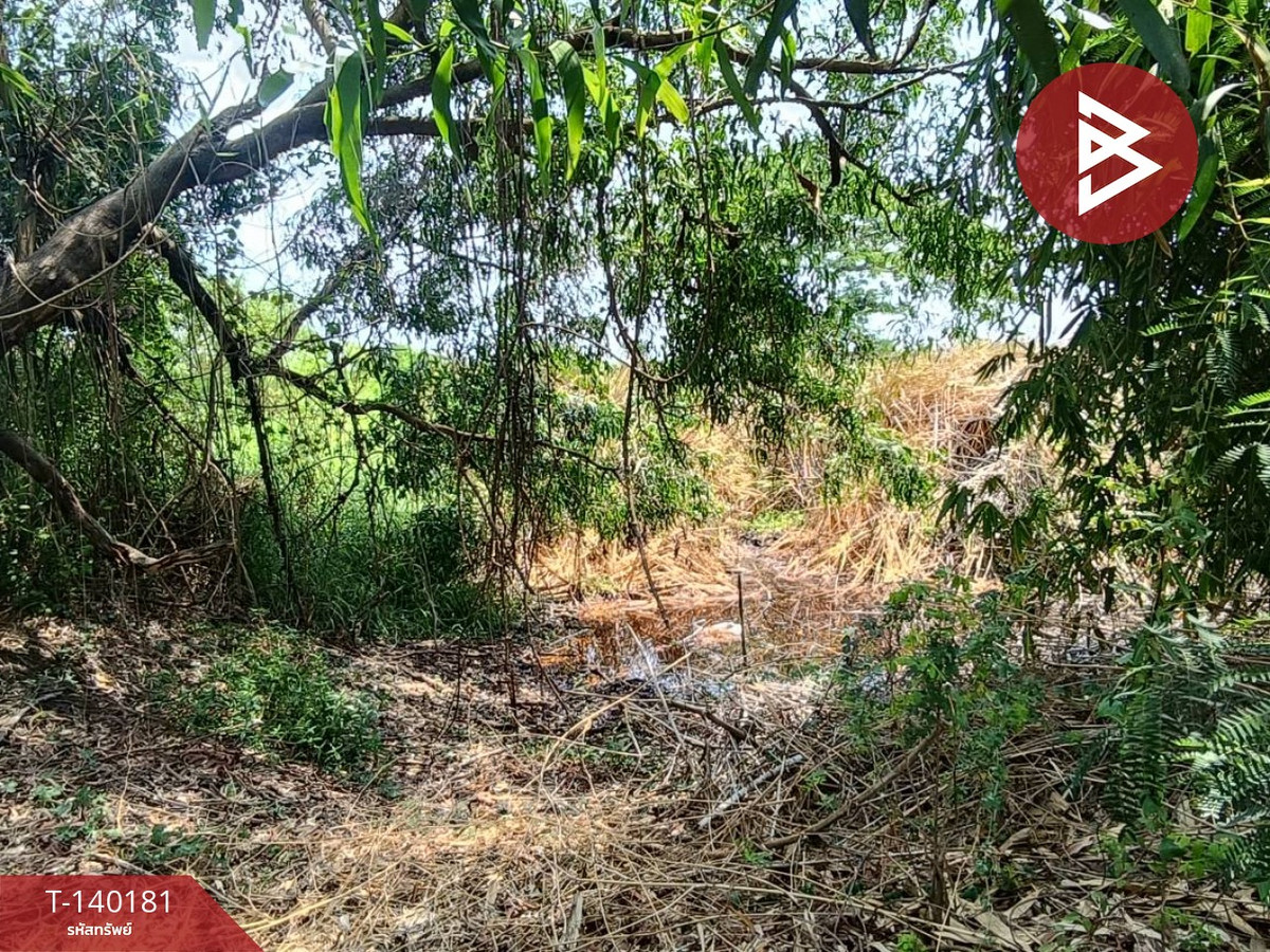 ขายที่ดิน เนื้อที่ 2 งาน 7 ตร.วา คลองเปรง ฉะเชิงเทรา – รูปที่ 3