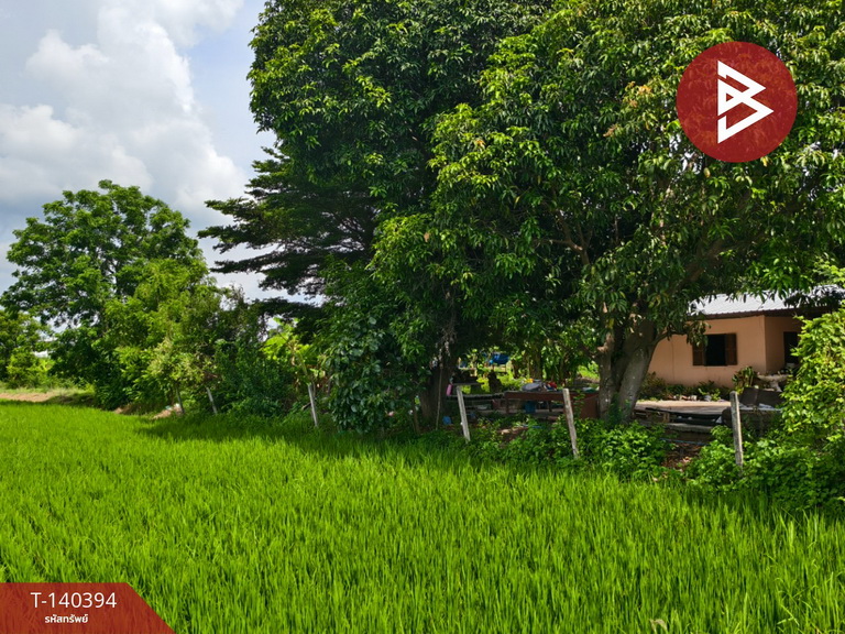 Land for sale, area 2 rai 3 ngan, Don Chedi, Suphanburi.