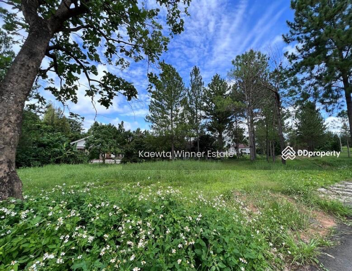 Land for sale, Khao Kho Highlands, Phetchabun, valid title deed, clean air, mountain view. – รูปที่ 3