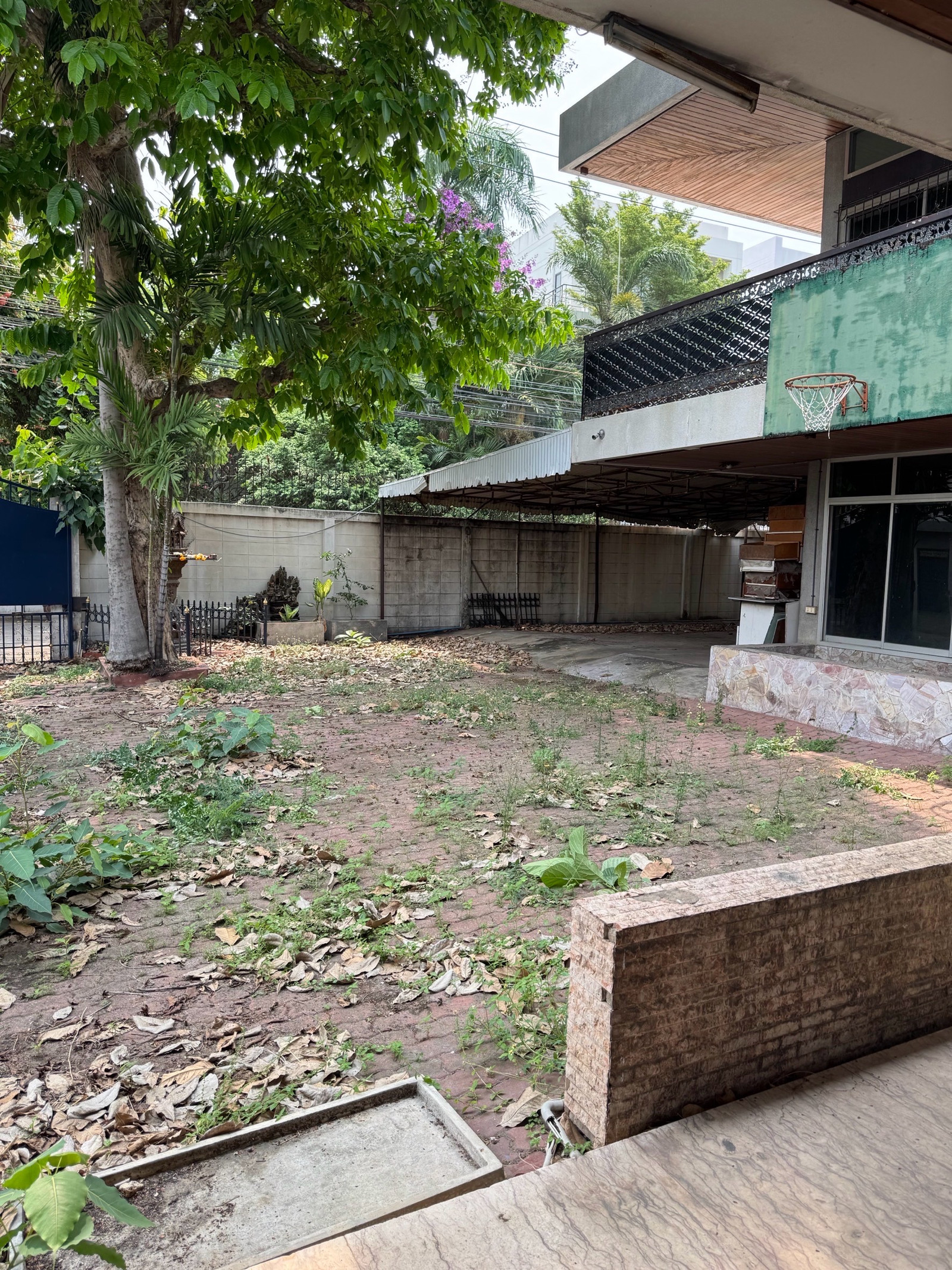 บ้านเดี่ยวให้เช่าทำธุรกิจ ใจกลางอารีย์ พื้นที่กว้างขวาง มีที่จอดรถ – รูปที่ 3