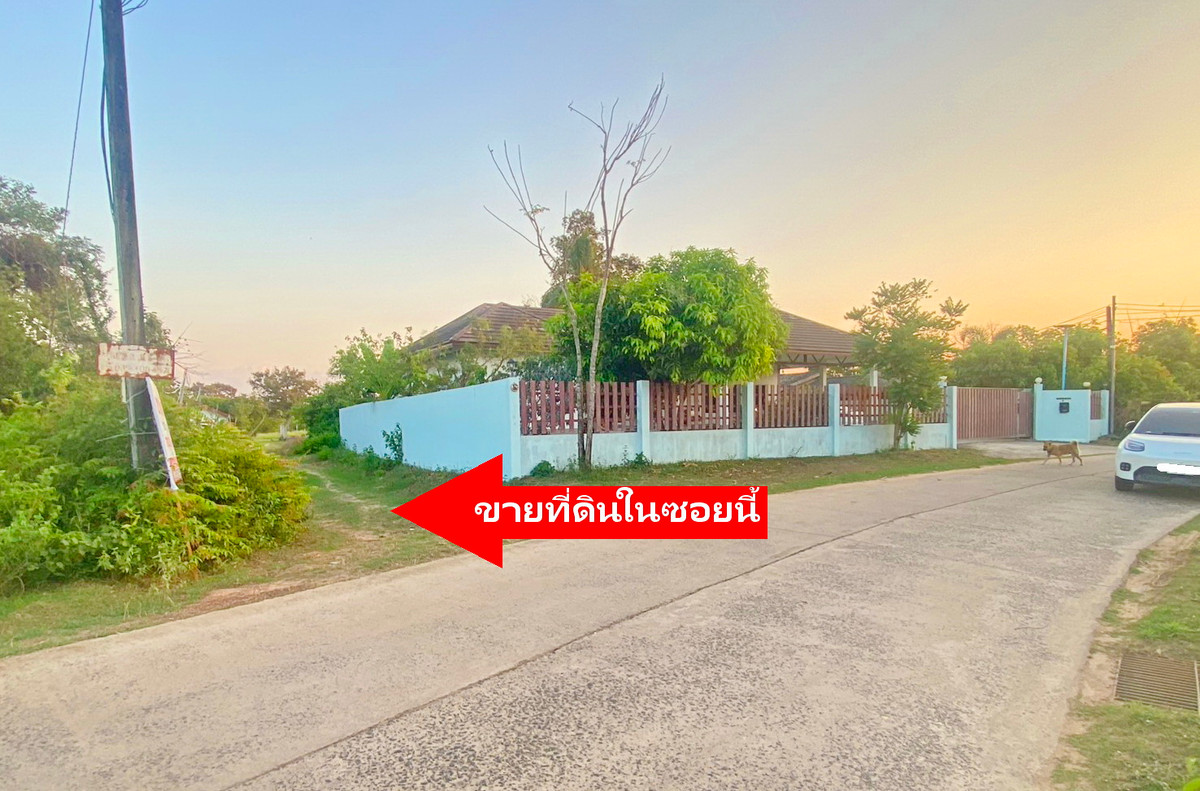 ขายถูก ที่ดิน เนื้อที่ 77 ตร.ว. ต.ขามใหญ่  อ.เมืองอุบลราขธานี จ.อุบลราขธานี