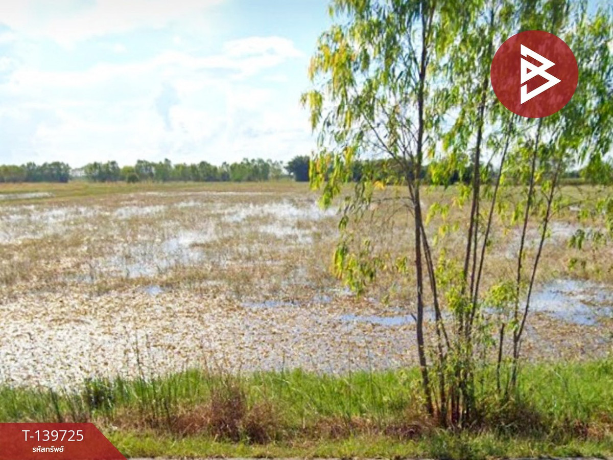 ขายที่ดิน เนื้อที่ 11 ไร่ 73 ตร.วา เมืองยาง นครราชสีมา – รูปที่ 2