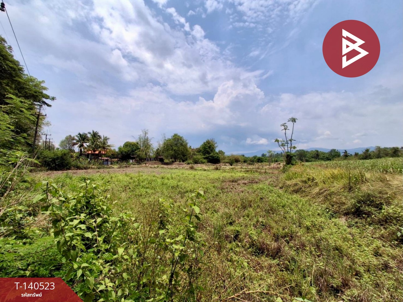 ขายที่ดิน เนื้อที่ 6 ไร่ 47.5 ตร.วา ท่าปลา อุตรดิตถ์ – รูปที่ 4