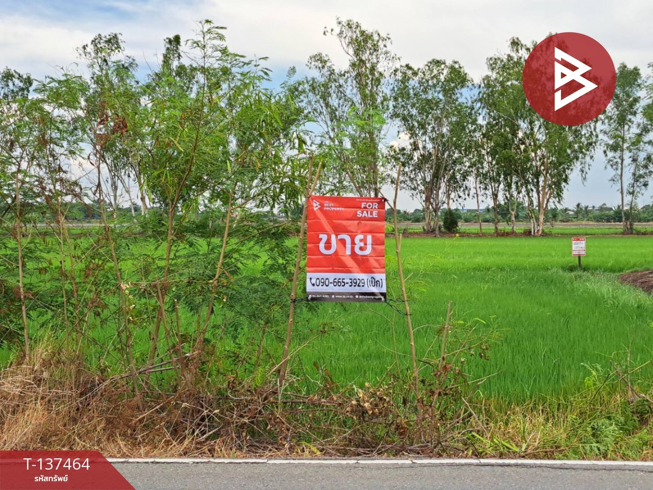 Land for sale, area 1 ngan 83 sq m, Phutthamonthon, Nakhon Pathom. Land for sale, area 1 ngan 83 sq m, Phutthamonthon, Nakhon Pathom.