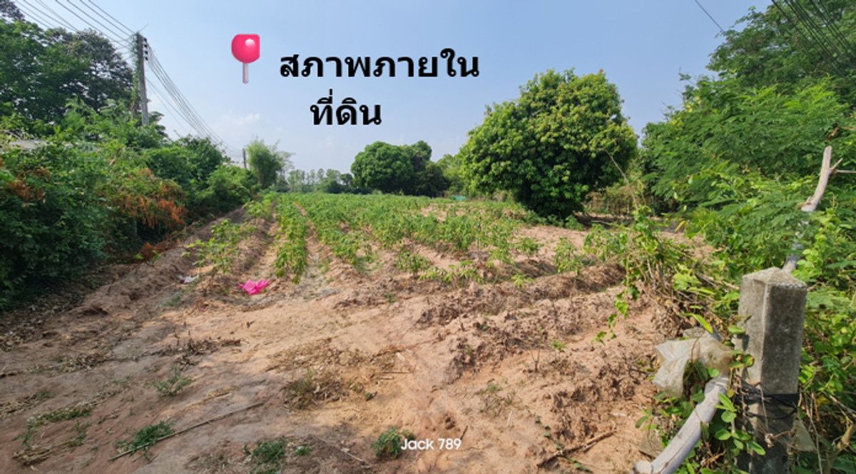🚨 แปลงนี้…คนมองทำเลเป็น “รีบทักก่อนเสมอ” ที่ดินติดถนนใหญ่ เขตเทศบาลดอนหวาย — ราคายังต่ำกว่าศักยภาพจริง 🔥 – รูปที่ 3