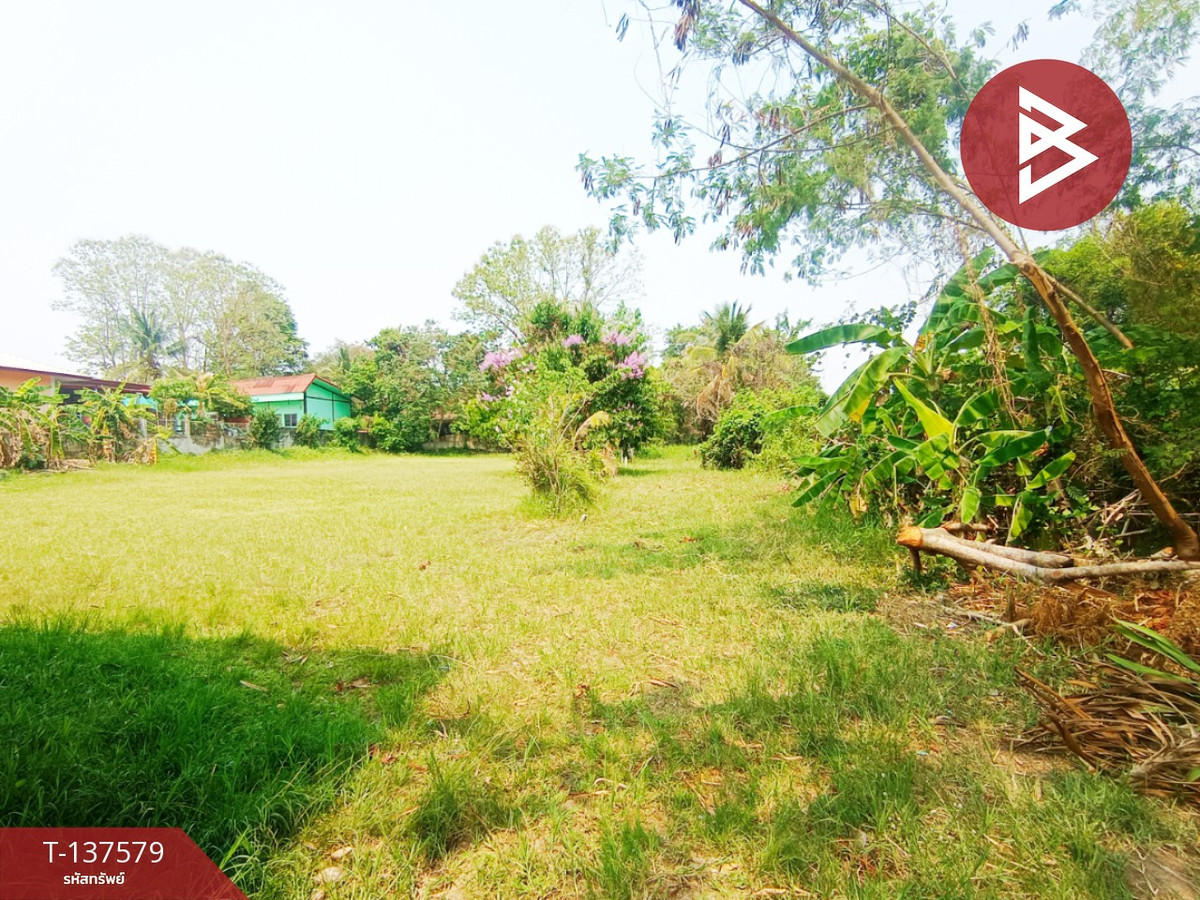 Land for sale, area 385 sq m, Phang Khon, Sakon Nakhon Land for sale, area 385 sq m, Phang Khon, Sakon Nakhon