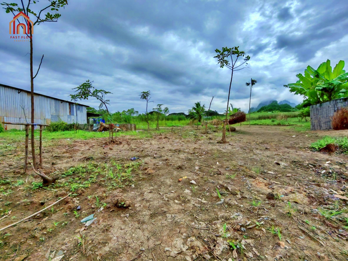 Land for sale, 327 square wah, Soi Nimitmai 40, Soi Yusabai, width approximately 26 meters, depth approximately 50 meters. – รูปที่ 3