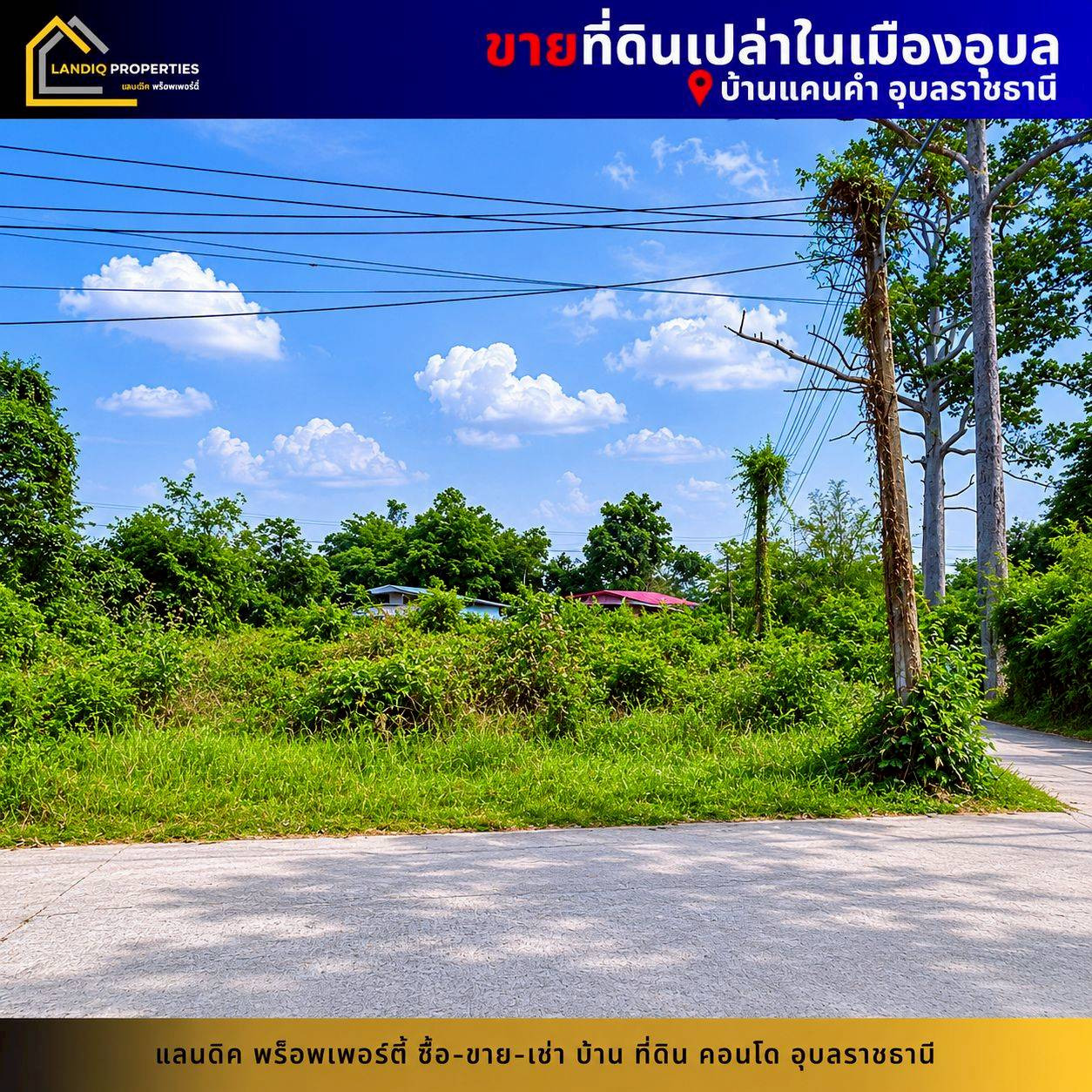 [For Sale] Land in Ubon Ratchathani, beautiful plot, next to the road on 2 sides, close to transport, drivers license. Traveling is very convenient. – รูปที่ 4