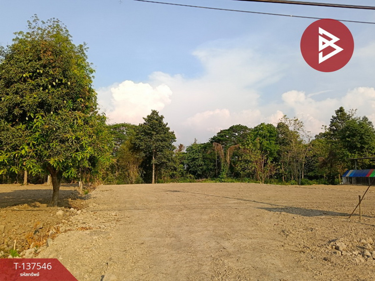 ขายที่ดินแปลงสวย เนื้อที่ 233 ตร.วา ติดถนนเส้นหลัก พิษณุโลก-กำแพงเพชร – รูปที่ 3
