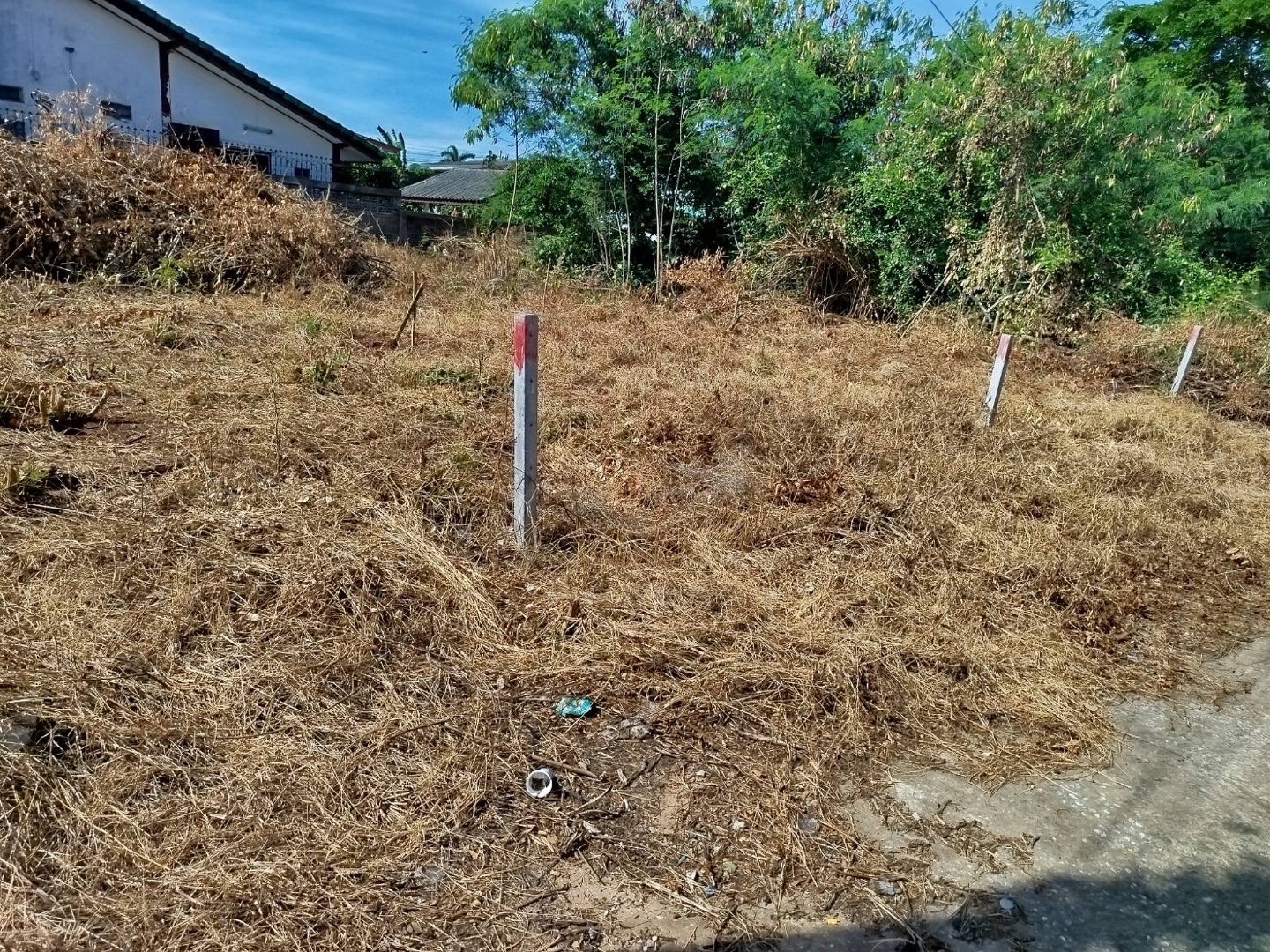 Land for sale, good location, Mueang Chaiyaphum – รูปที่ 2