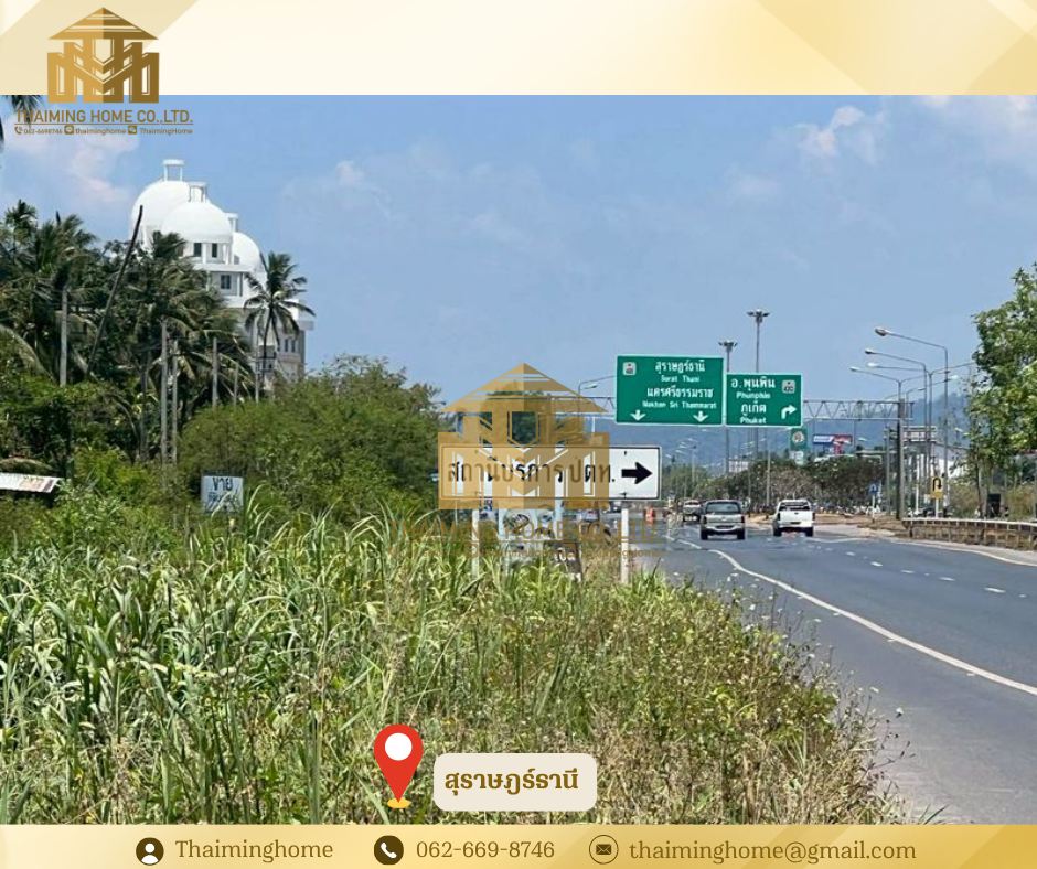 ขายที่ดินแปลงใหญ่ทำเลศักยภาพ เนื้อที่ 28 ไร่ 3 งาน 82 ตร.วาอำเภอเมือง สุราษฎร์ธานี (TL6-0226)  – รูปที่ 2
