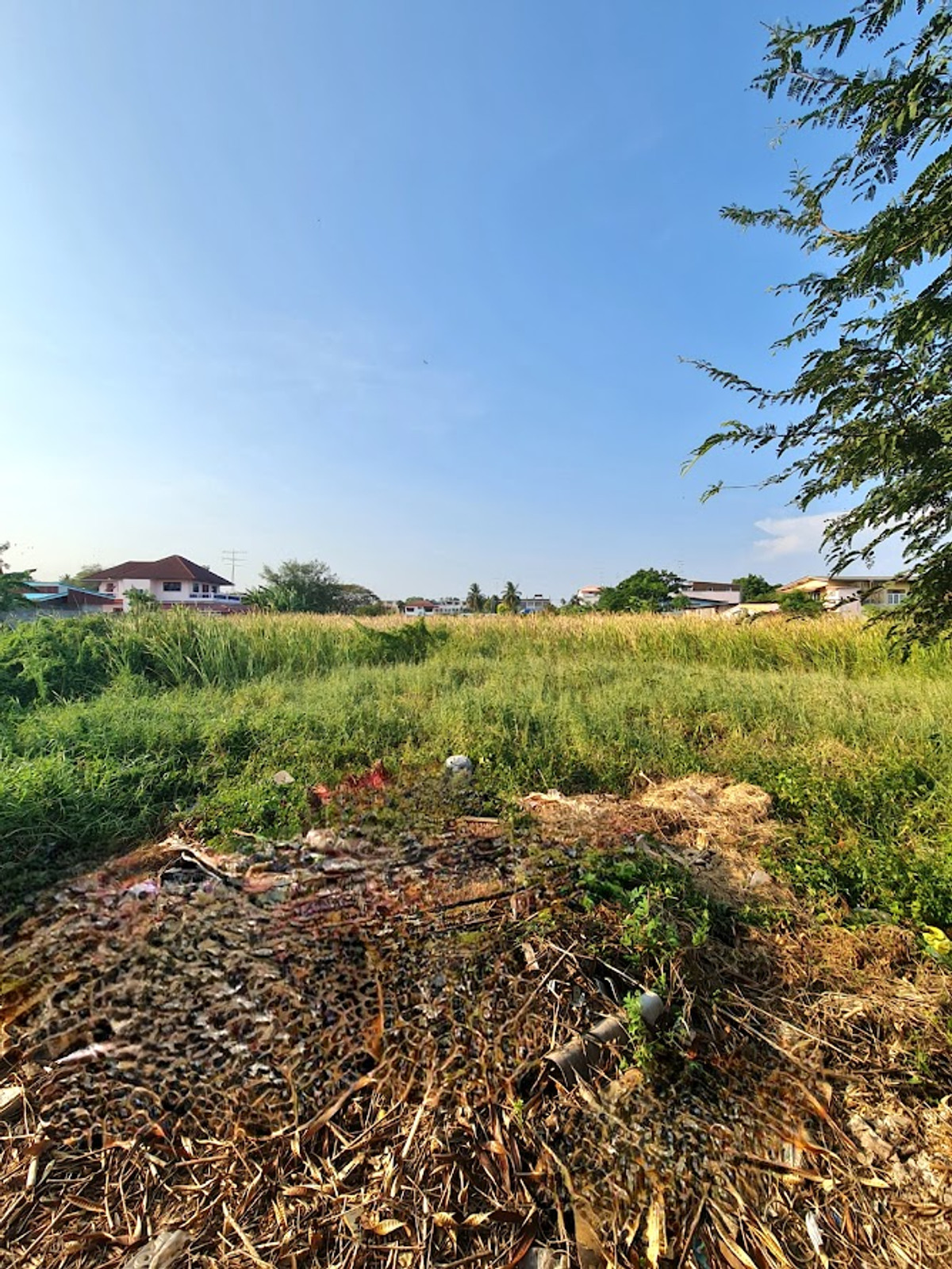 ขายที่ดินราชบุรี อำเภอเมือง เนื้อที่ 2-1-18.1 ไร่ ถนนมนตรีสุริยวงศ์  – รูปที่ 4