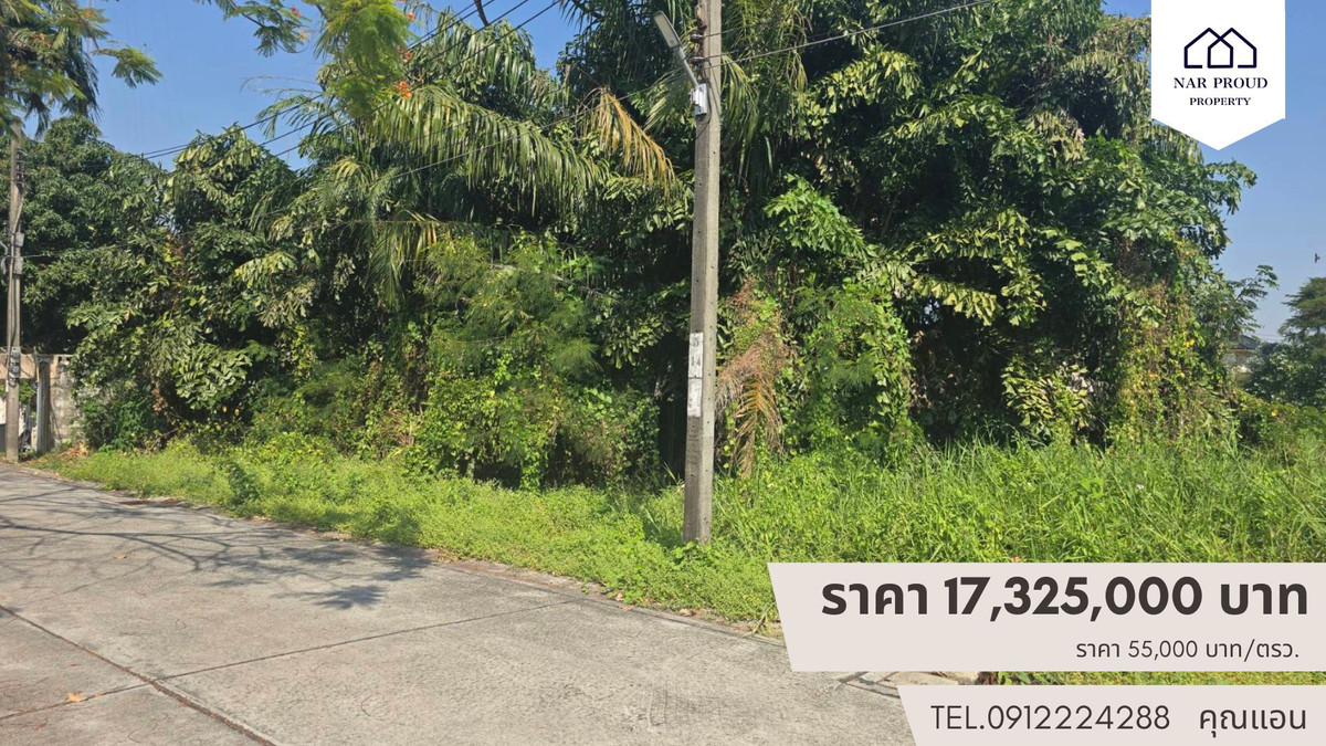 ที่ดิน 315 ตรว. ซอยสุขาภิบางบางระมาด – รูปที่ 3