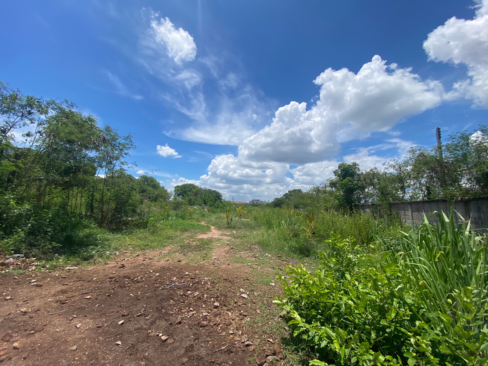 ที่ดิน 3 ไร่ ซอยโกดังชิน เจดีย์หัก เมืองราชบุรี, ราชบุรี ที่ดิน 3 ไร่ ซอยโกดังชิน เจดีย์หัก เมืองราชบุรี, ราชบุรี