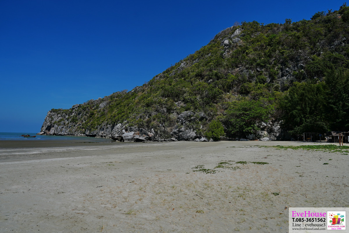 ขายที่ดิน ติดชายหาดบางปู ใกล้ถ้ำพระยานคร, จุดขึ้นลงเรือชมถ้ำ หาดทรายสวย หาดกว้างมาก ทรายละเอียด ที่ดินติดหาดกว้าง 25 ไร่ๆละ 9 ล้าน – รูปที่ 4
