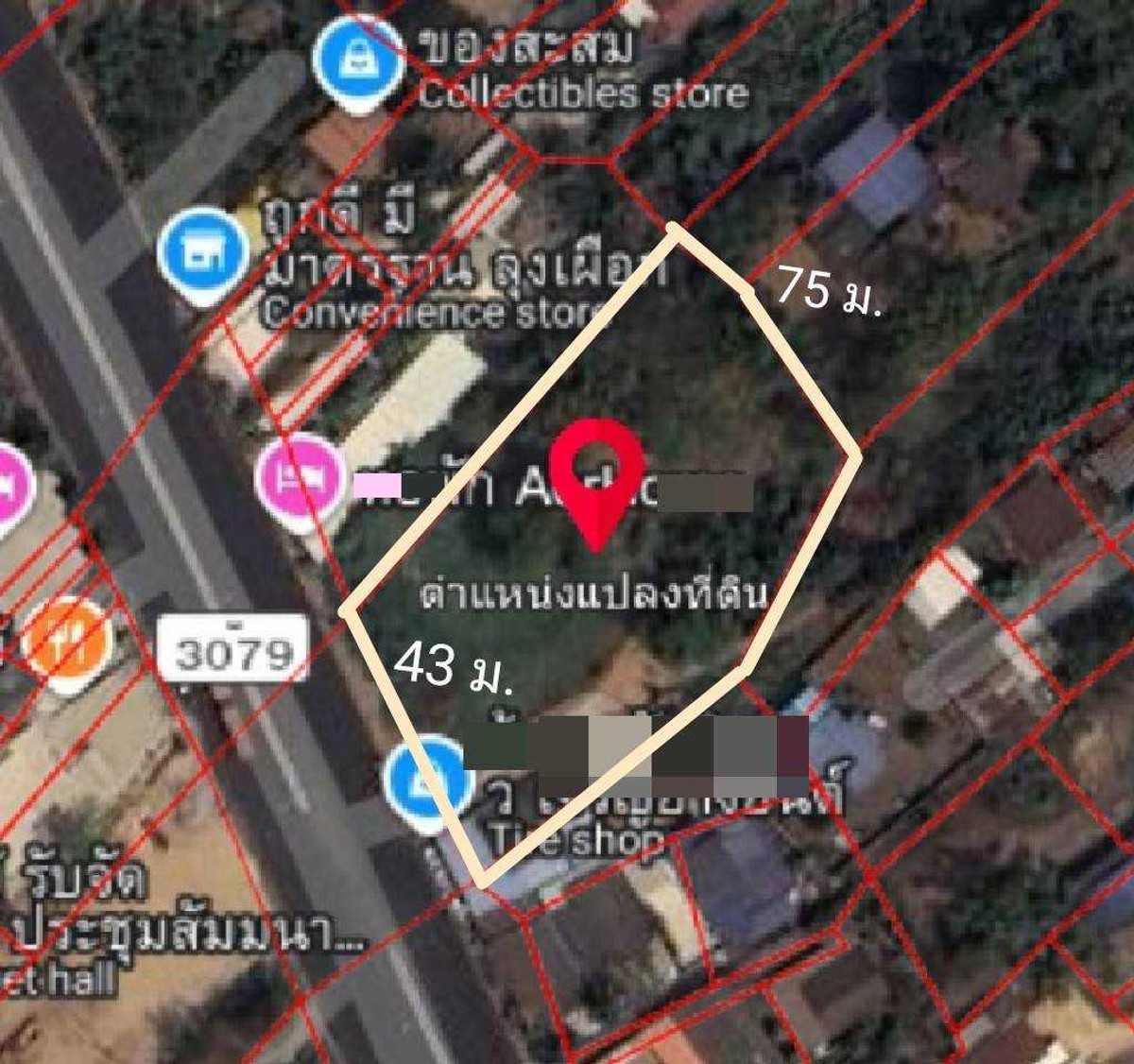 ขายที่ดิน ติดถนน 4 เลน ใจกลางเมืองปราจีนบุรี