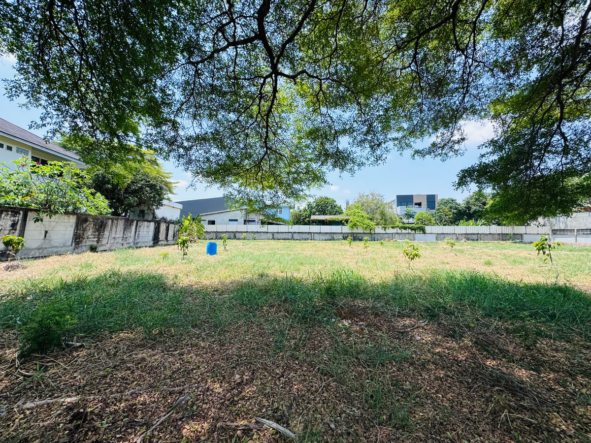 ราคาดีที่สุด ที่ดินแปลงสวย ในโครงการ วินด์มิลล์ พาร์ค (Windmill Park) บางนา – รูปที่ 4