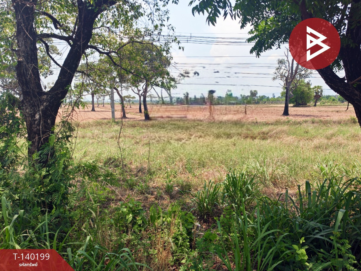 ขายที่ดิน เนื้อที่ 23 ไร่ 1 งาน 83 ตร.วา นาดี ปราจีนบุรี – รูปที่ 3