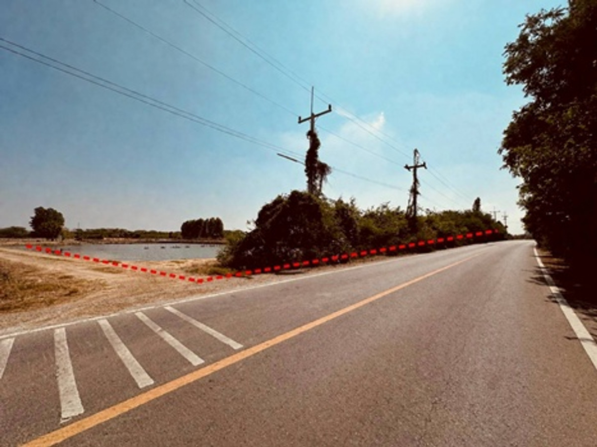 ขายที่ดิน ขนาดพื้นที่รวม 12-1-77 ไร่ ตำบลสระพัฒนา อำเภอกำแพงแสน จังหวัดนครปฐม ราคา 16,175,250 บาท