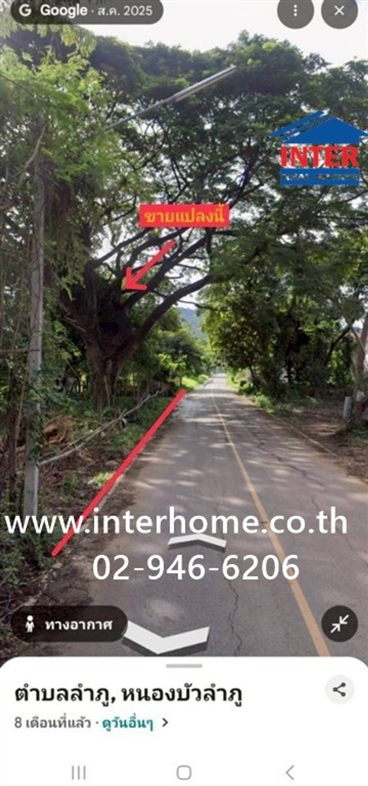 ที่ดินเปล่า 2 ไร่ 10 ตร.ว. ที่ดินเปล่า ติดโรงเรียน ณ สาธรบริบาลไทยสัปปายะ ถนนทางหลวงหมายเลข210 ถนนทางหลวงหมายเลข228 เมืองหนองบัวลำภู หนองบัวลำภู ที่ดินเปล่า 2 ไร่ 10 ตร.ว. ที่ดินเปล่า ติดโรงเรียน ณ สาธรบริบาลไทยสัปปายะ ถนนทางหลวงหมายเลข210 ถนนทางหลวงหมายเลข228 เมืองหนองบัวลำภู หนองบัวลำภู
