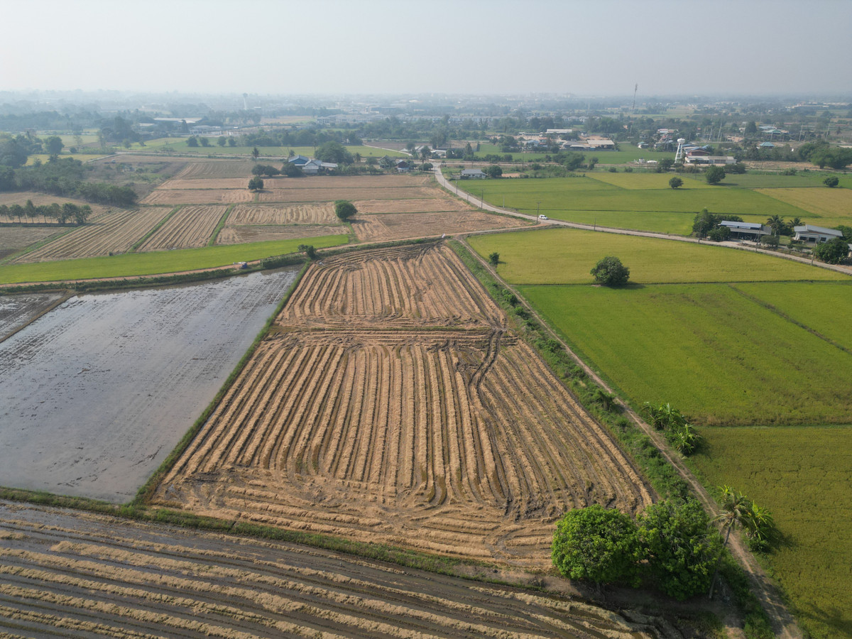 ขายที่ดิน ซอย 8 6 ไร่ 1 งาน 15 ตร.ว. เซียนคาเฟ่ เหมาะพัฒนาโครงการบ้าน  – รูปที่ 2