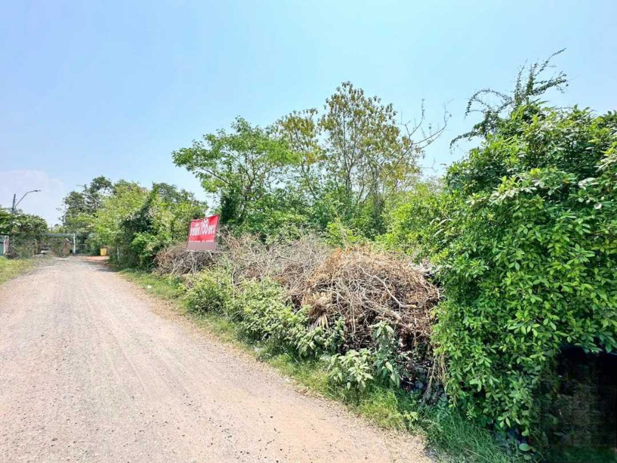 ขายที่ดินเปล่า 168 ตร.วา เข้า-ออกสะดวก ใกล้ถนนหลัก – รูปที่ 2