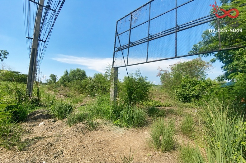 Land for sale, 45 rai 2 ngan 29 square wah, next to Phetkasem Road. Mueang Ratchaburi District – รูปที่ 4