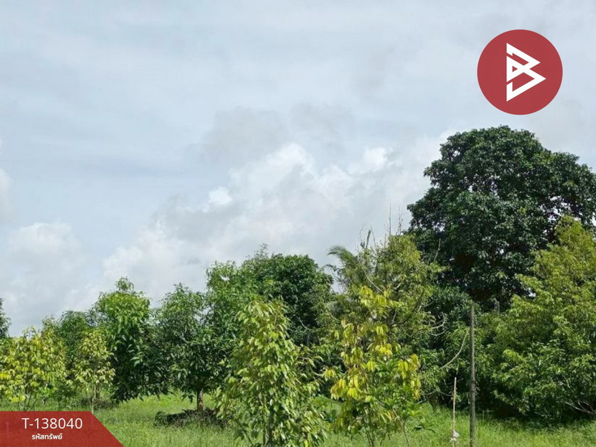 ขายที่ดิน เนื้อที่ 9 ไร่ 44 ตร.วา ท่าใหม่ จันทบุรี – รูปที่ 3
