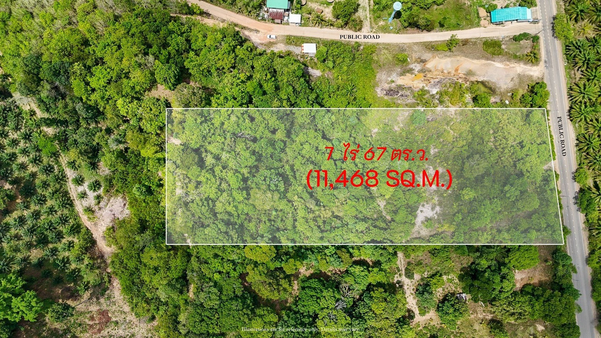 Land at Din Daeng Doi Krabi, กระบี่