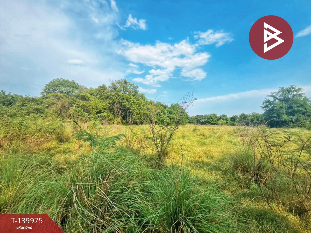 ขายที่ดิน เนื้อที่ 152.5 ตร.วา หลังกรมบังคับคดี ต.น้ำซึม จ.อุทัยธานี – รูปที่ 2