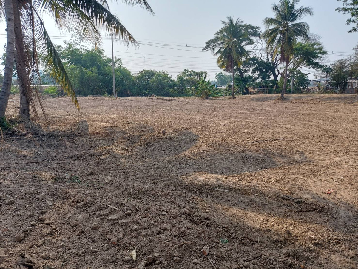 For sale / rent land next to the main road, next to the main road 3251 (Chai Nat - Suphanburi), Sankhaburi District, Chainat Province. For sale / rent land next to the main road, next to the main road 3251 (Chai Nat - Suphanburi), Sankhaburi District, Chainat Province.