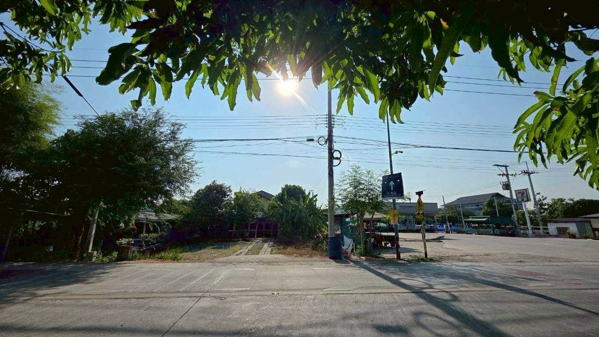 [ขายด่วน!] บ้านเดี่ยวแปลงใหญ่ 194.3 ตร.ว. ทำเลทองติด 7-11 ต.บางพูด จ.ปทุมธานี – รูปที่ 4