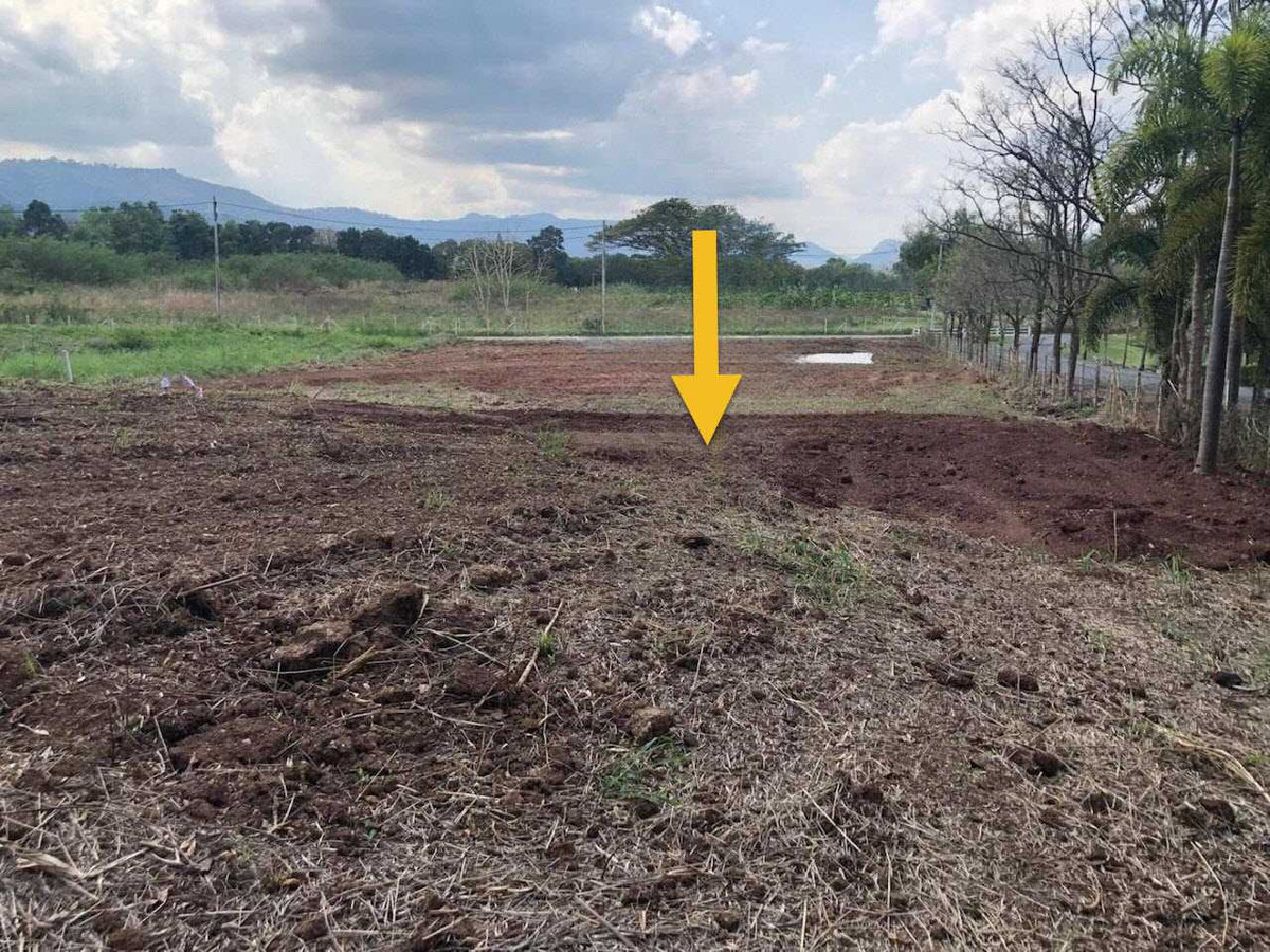 ขายที่ดิน ขนาด 2 ไร่ เหมาะสำหรับสร้างที่อยู่อาศัย  – รูปที่ 3