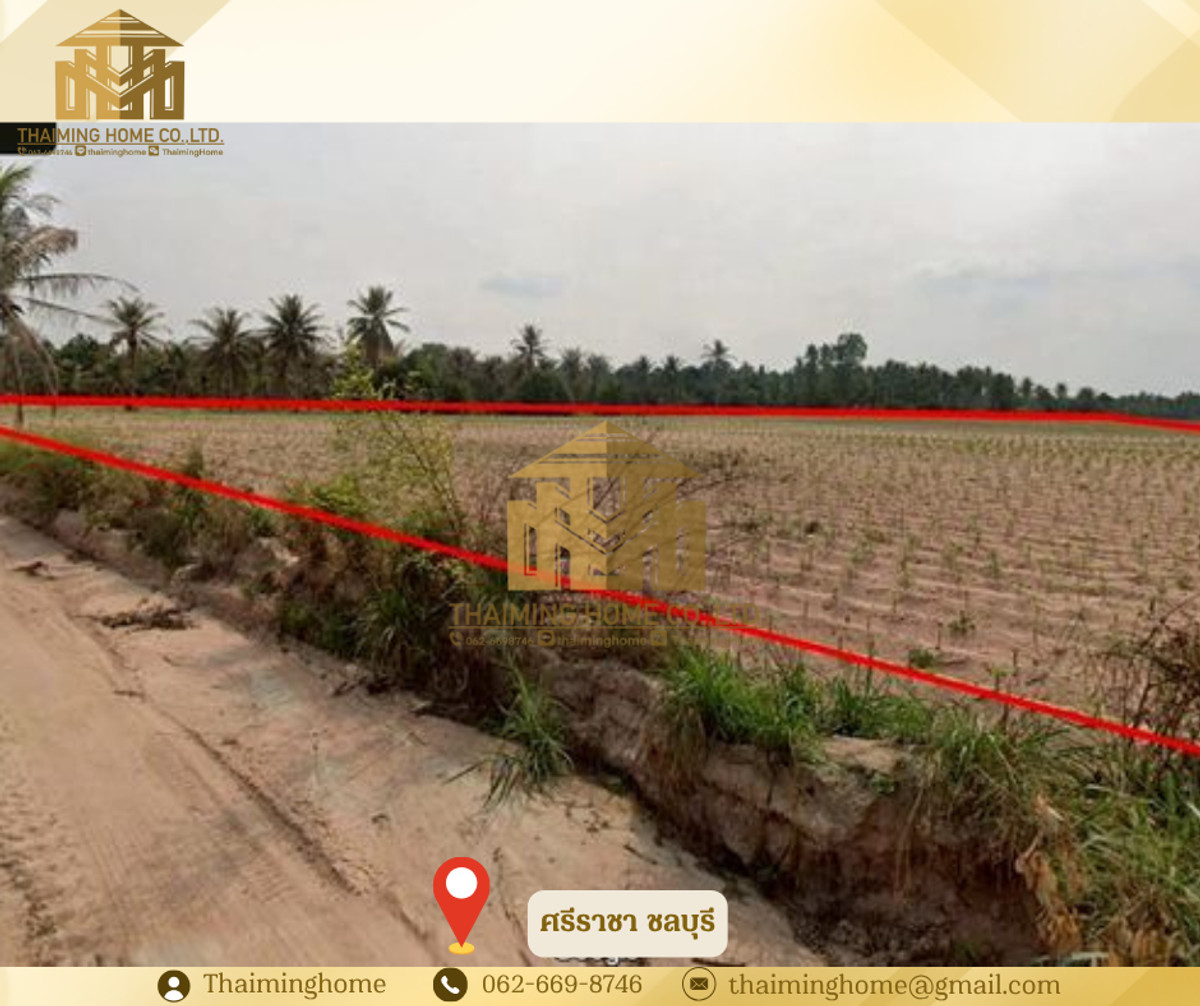 ขายที่ดิน ผังสีม่วงลาย ทำเลศักยภาพสูง โซนบ่อวิน ศรีราชา ชลบุรี  (TL07-0326)