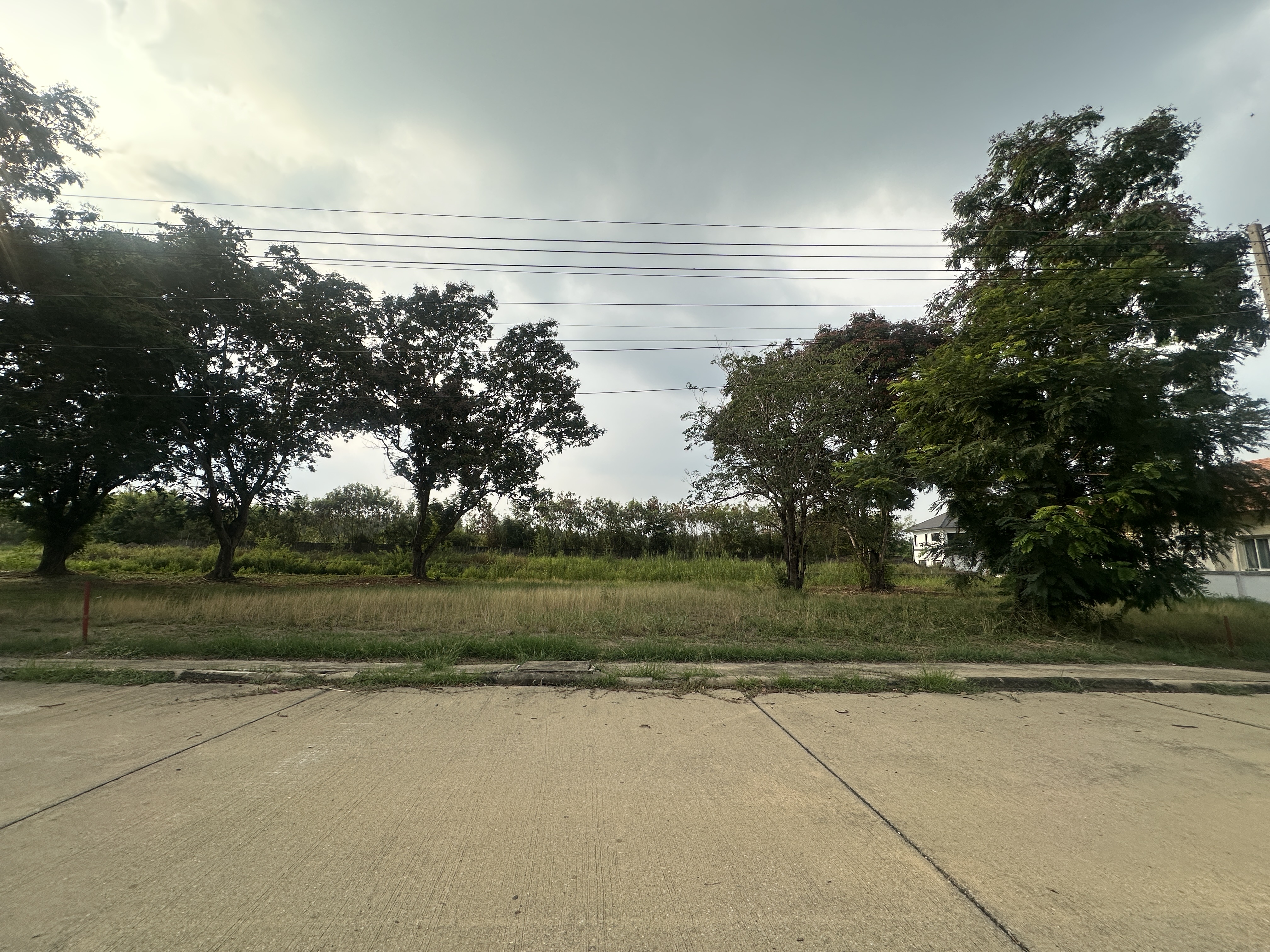 🏡 Land for sale in the Lagoon 1-2 project, Pathum Thani | Beautiful plot 117 sq m, width 17 m, calm, shady atmosphere. 🏡 Land for sale in the Lagoon 1-2 project, Pathum Thani | Beautiful plot 117 sq m, width 17 m, calm, shady atmosphere.