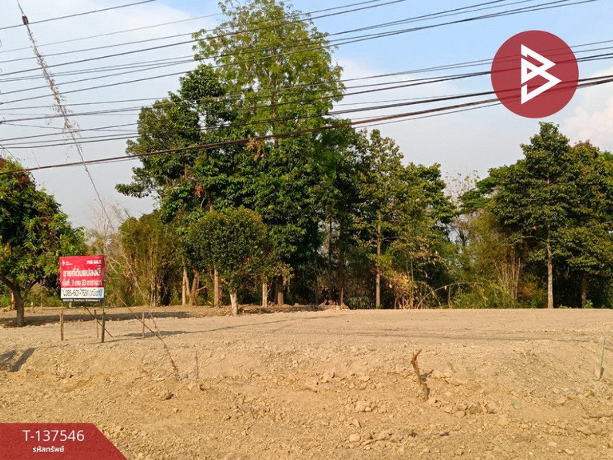 ขายที่ดินแปลงสวย เนื้อที่ 233 ตร.วา ติดถนนเส้นหลัก พิษณุโลก-กำแพงเพชร – รูปที่ 2