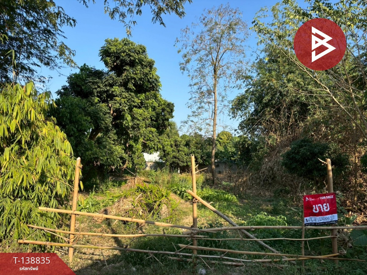 Land for sale, area 198 square meters, Baan Sri Ngam Phatthana-Mae Faek, San Sai, Chiang Mai. – รูปที่ 2