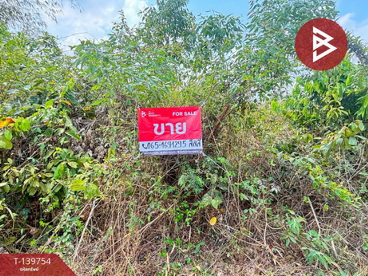 Land for sale, area 14 rai 3 ngan 33.2 square wah, Pak Tho, Ratchaburi. – รูปที่ 3