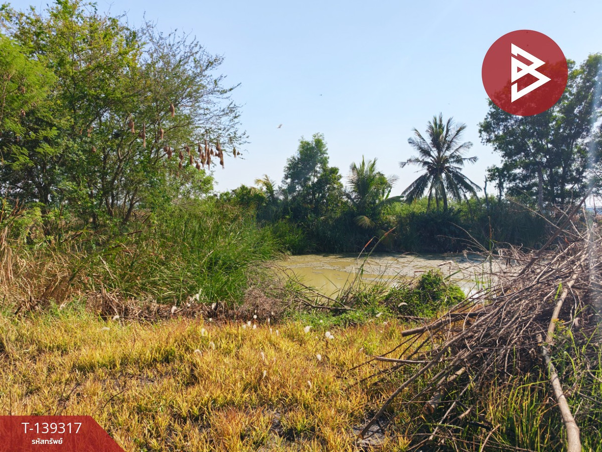 Land for sale, area 1 rai 3 ngan 49 sq m, Nam Daeng, Chachoengsao. – รูปที่ 4