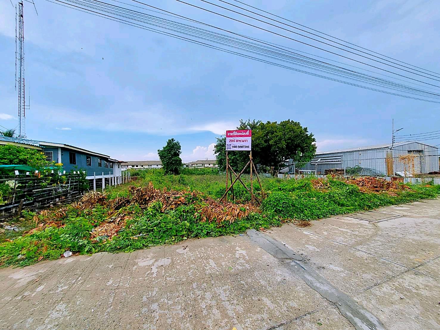ขายที่ดินเปล่า 200 ตร.ว. เลียบคลอง 3 ลำลูกกา โฉนดพร้อมโอน – รูปที่ 3