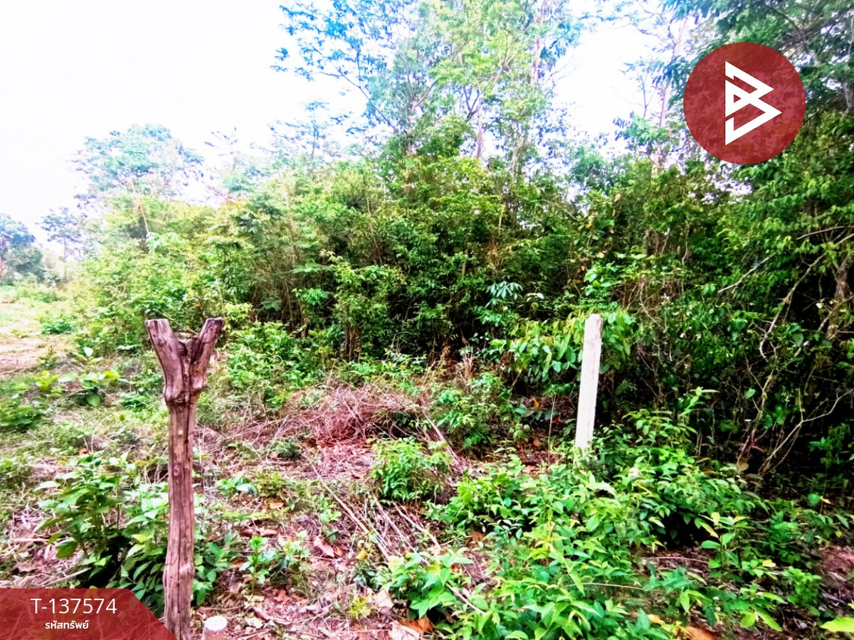 ขายที่ดิน เนื้อที่ 14 ไร่ 2 งาน 14 ตร.วา เชียงเครือ สกลนคร – รูปที่ 2
