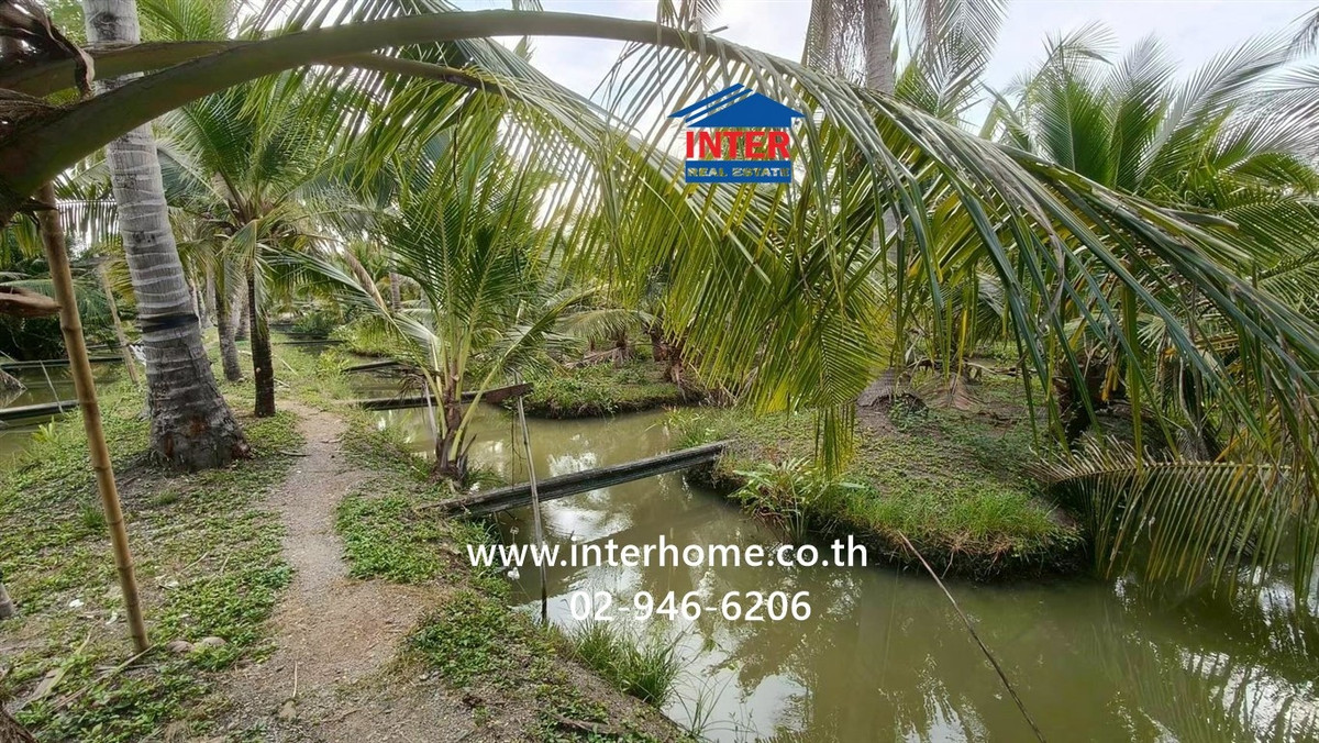 Land + house, 1 floor, 4 rai 268 sq m. Land + house near Khao Takrao Temple. Soi Rong Namtan Jae Joy, Phetkasem Road, Road No. 1004, Khao Yoi, Phetchaburi – รูปที่ 2