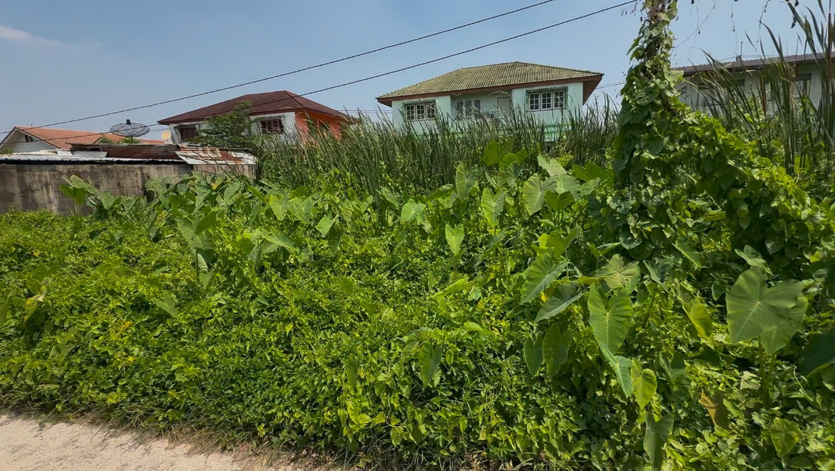 ขายที่ดิน 98 ตร.วา ถ.บางแวก ภาษีเจริญ ใกล้ตลาดสี่แยกทศกัณฐ์ – รูปที่ 3