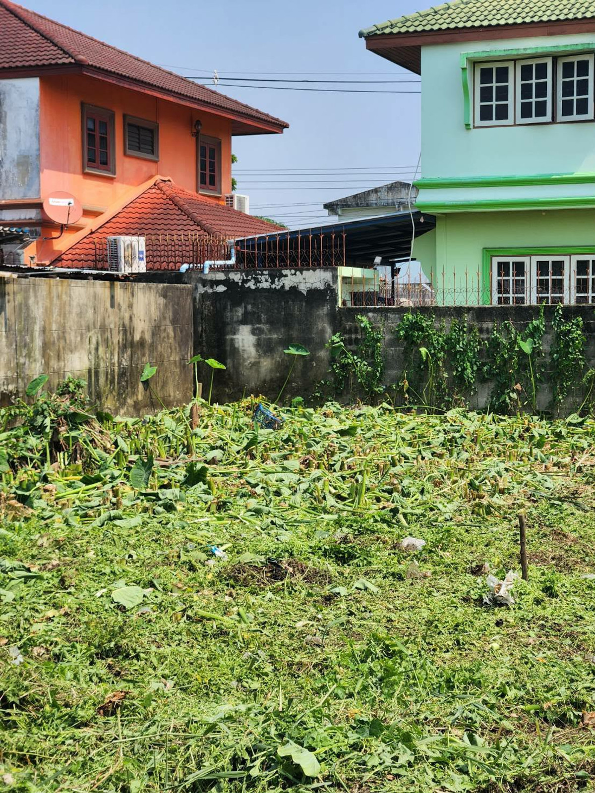 ขายที่ดิน 98 ตร.วา ถ.บางแวก ภาษีเจริญ ใกล้ตลาดสี่แยกทศกัณฐ์ – รูปที่ 2