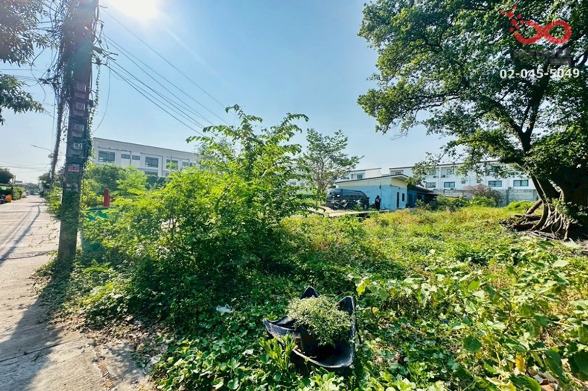 ขายที่ดิน 105 ตร.ว. ถนนสุขุมวิท  ซอยอ่อนนุช 46 แยก 20 ถมแล้ว ใกล้รถไฟฟ้าสีเหลือง-สีเขียว – รูปที่ 3