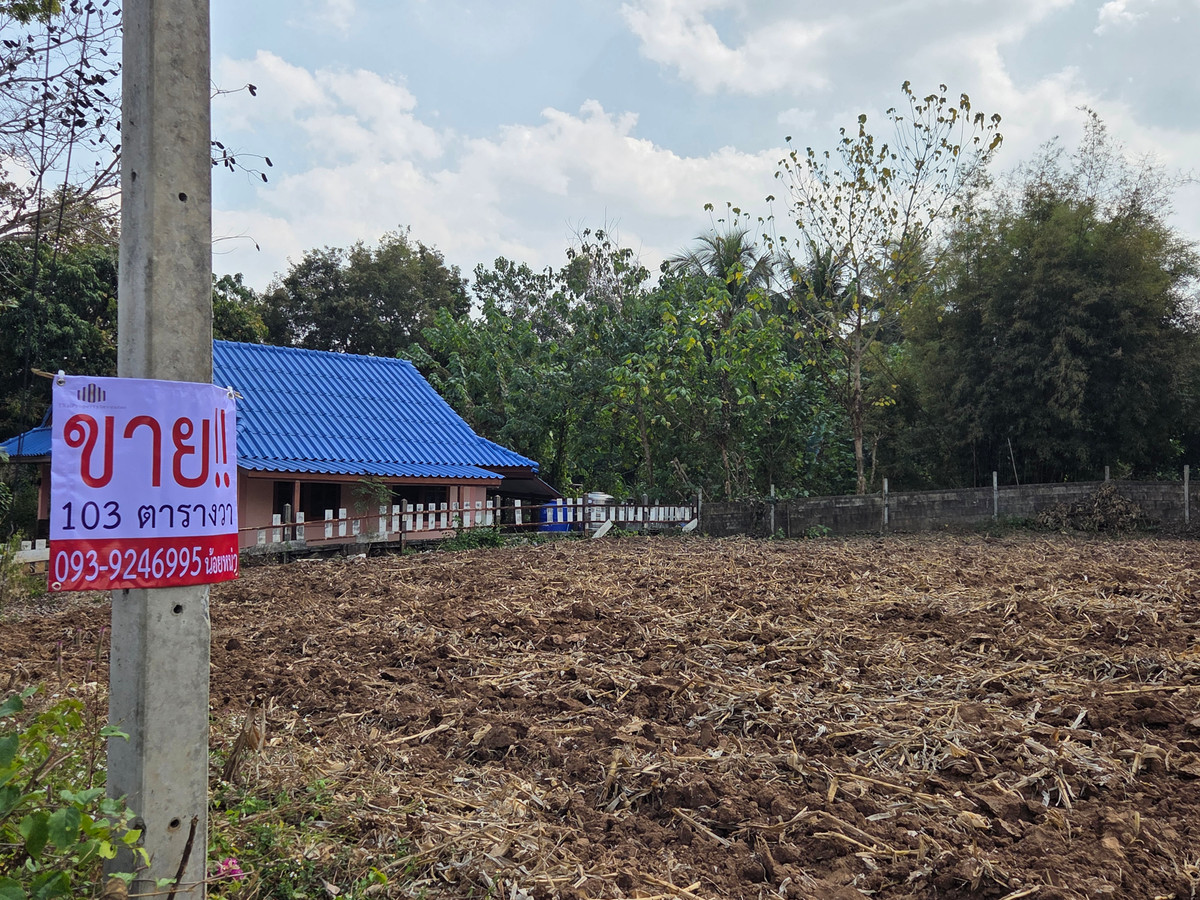 ขายที่ดินเขาใหญ่ หมูสี 104 ตร.ว. ใกล้ถนนธนะรัชต์ 400 ม. | 2.496 ล้าน  – รูปที่ 3