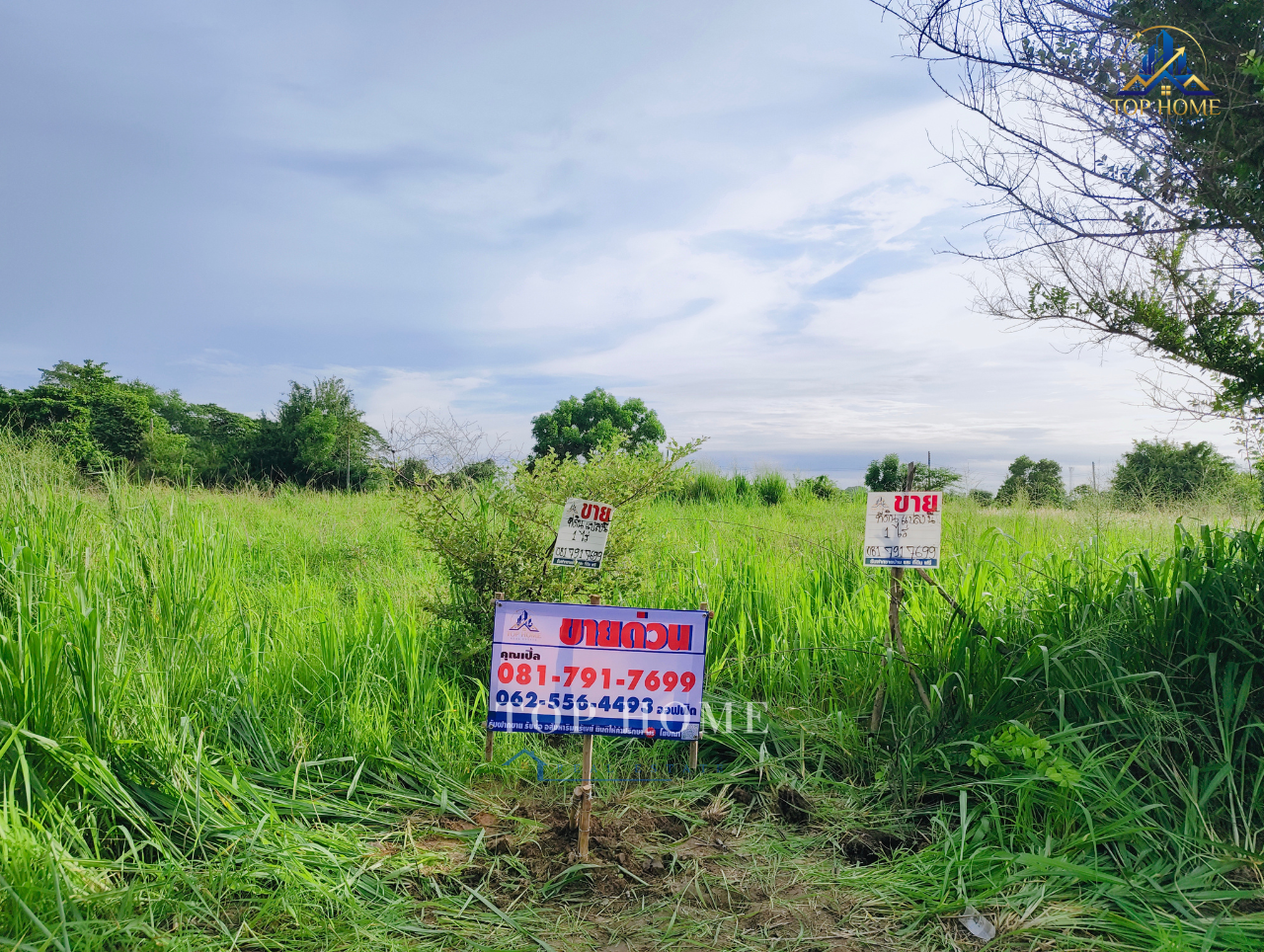 Urgent sale❗️1 rai of land, Sriracha, only 10 minutes from Motorway No. 7. Urgent sale❗️1 rai of land, Sriracha, only 10 minutes from Motorway No. 7.